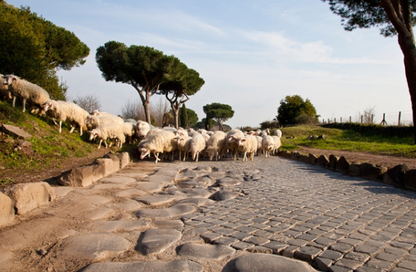 La transumanza e la monticazione